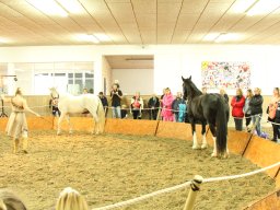 IMG_5190_web